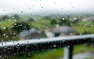 Does Kiama’s Rainfall Pattern Affect Ridgewaters Living?