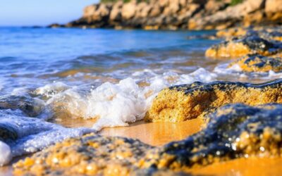 Finding Your Slice of Paradise at Ridgewaters Kiama