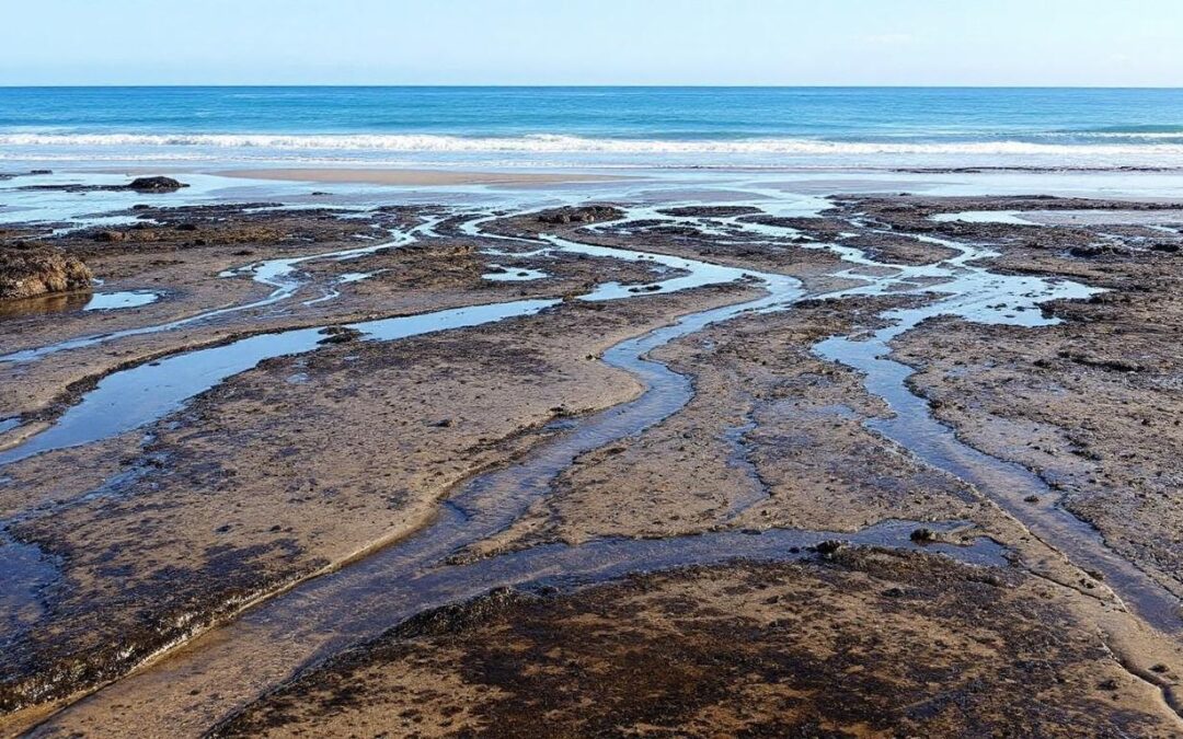 How Kiama’s Unique Tidal Patterns Enhance Ridgewaters Beach Access