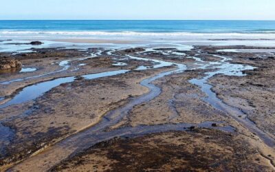 How Kiama’s Unique Tidal Patterns Enhance Ridgewaters Beach Access