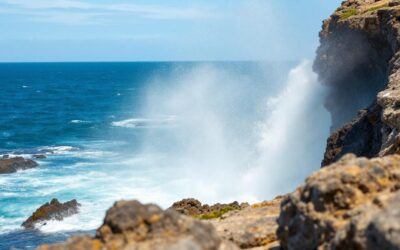 How Ridgewaters Kiama Is Elevating Local Tourism