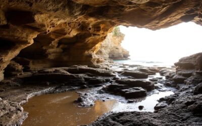 How to Explore Kiama’s Spectacular Sea Caves from Your Ridgewaters Base
