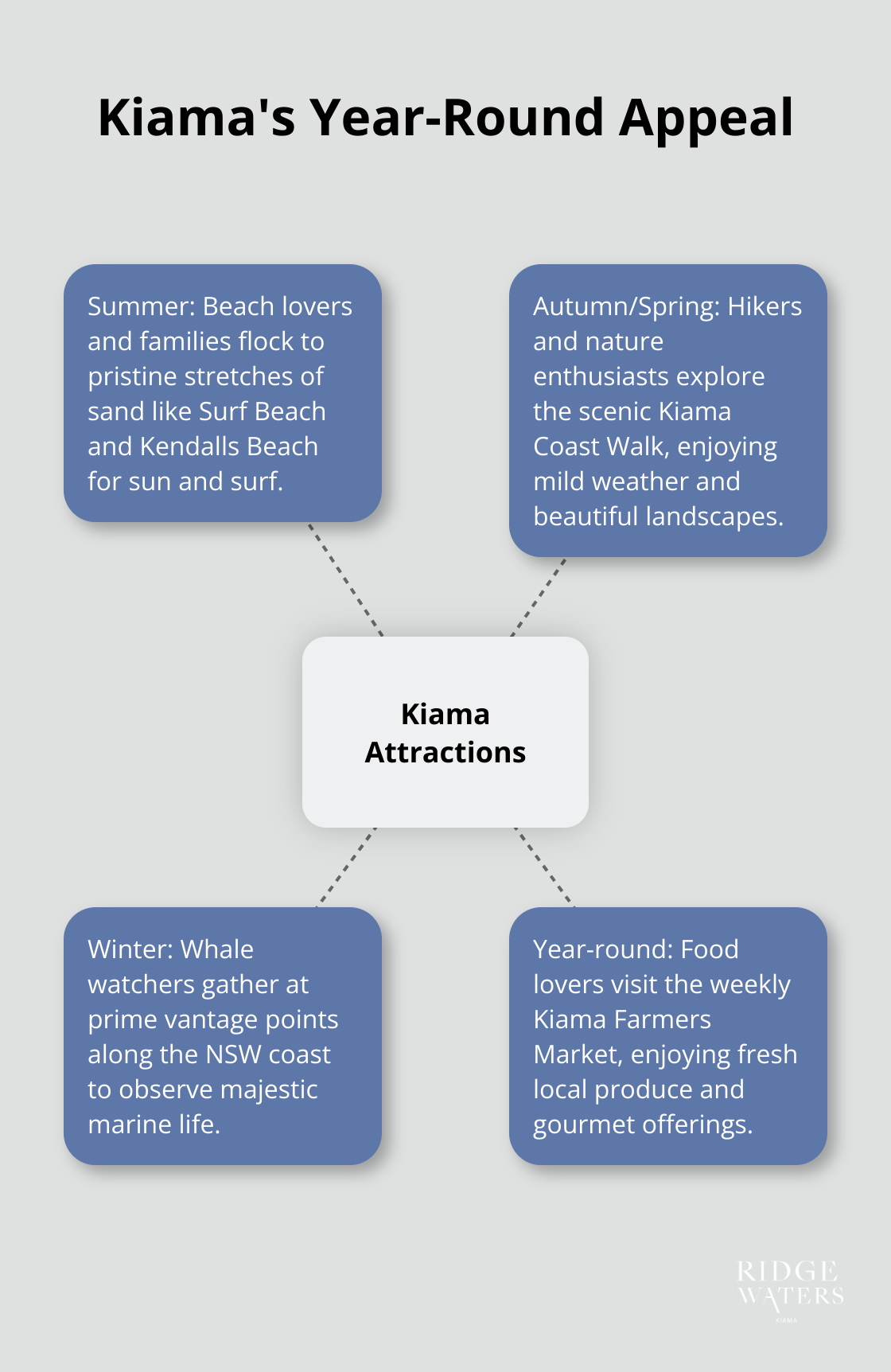 A hub and spoke chart showing Kiama's attractions for different seasons: summer beach activities, autumn/spring hiking, winter whale watching, and year-round food experiences. - Airbnb Kiama