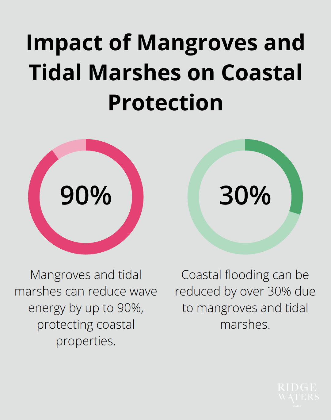 Percentage chart showing mangroves and tidal marshes can reduce wave energy by up to 90% and coastal flooding by over 30% - Coastal design