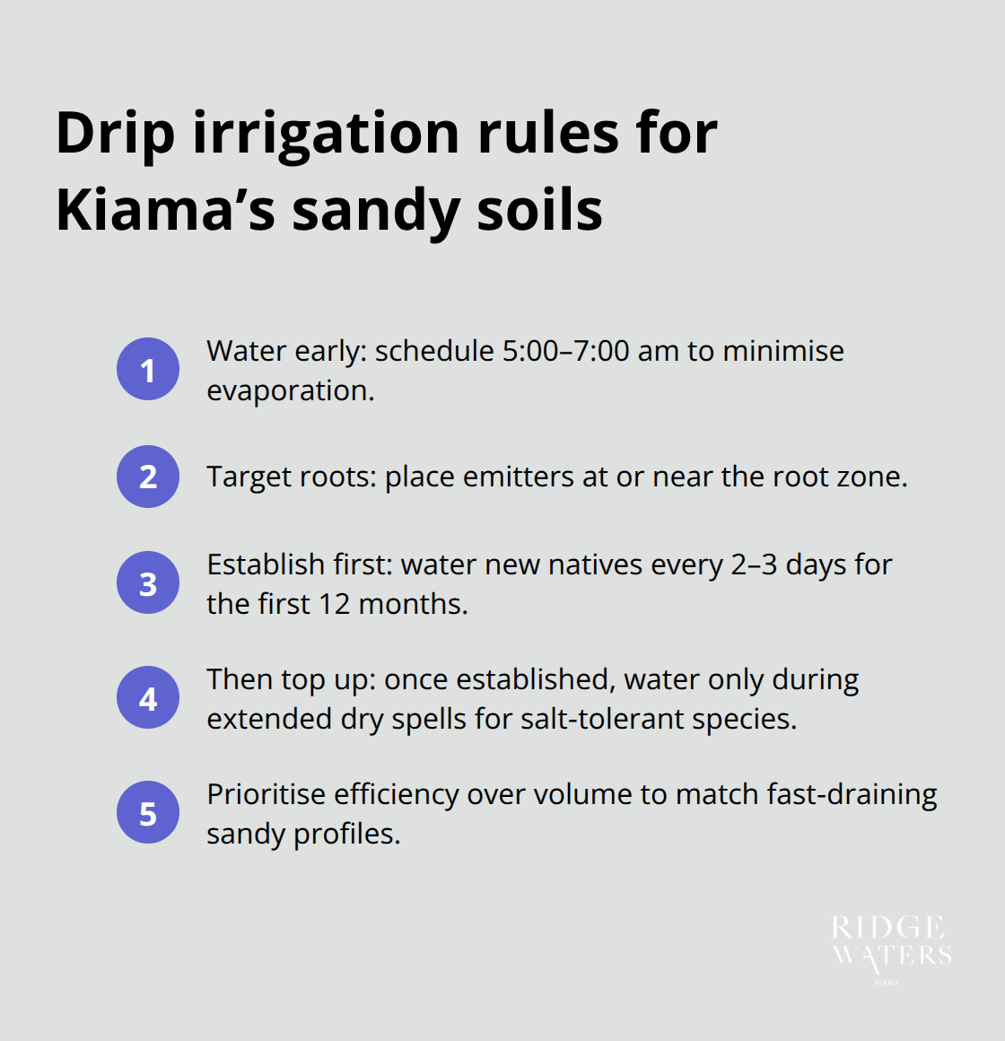 Compact list of drip irrigation best practices for coastal Kiama gardens - Coastal flora