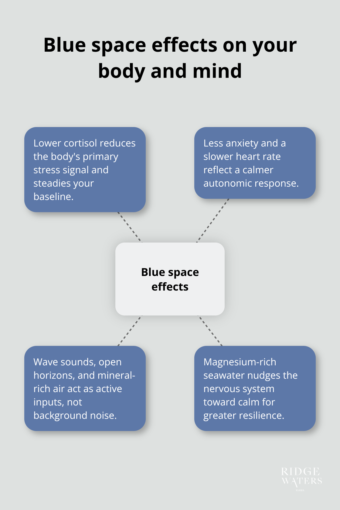 How proximity to the ocean influences stress, mood, and physiology. - Coastal wellness