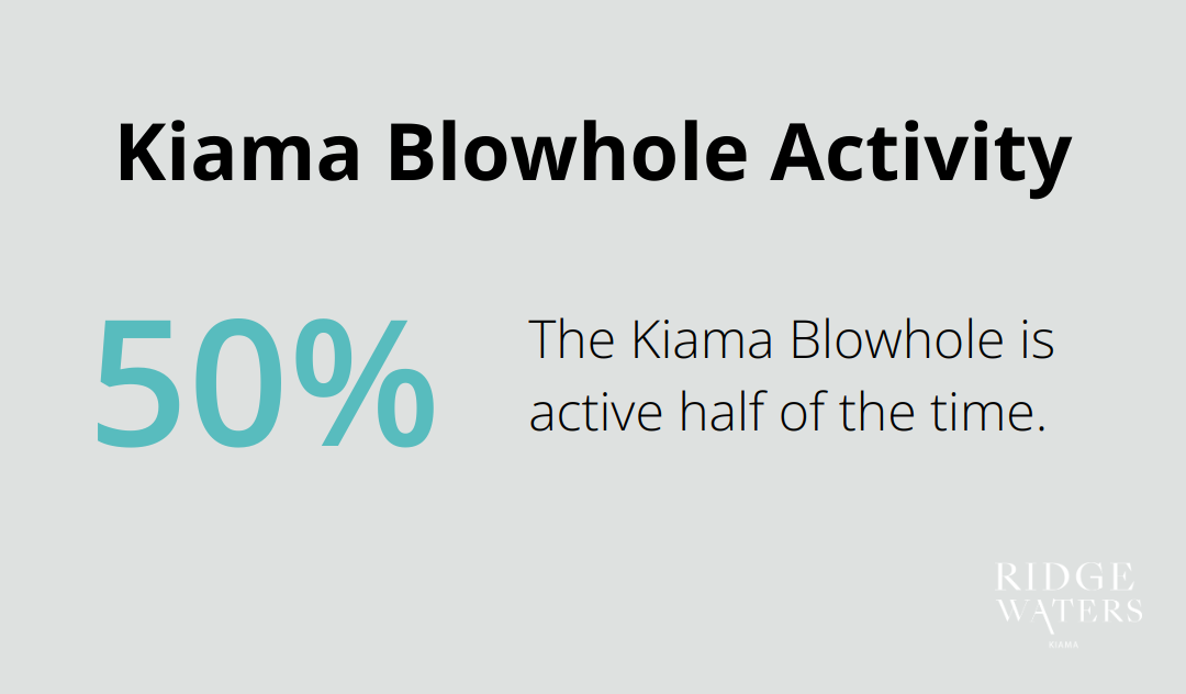 Pie chart showing the Kiama Blowhole is active 50% of the time - Holiday destination