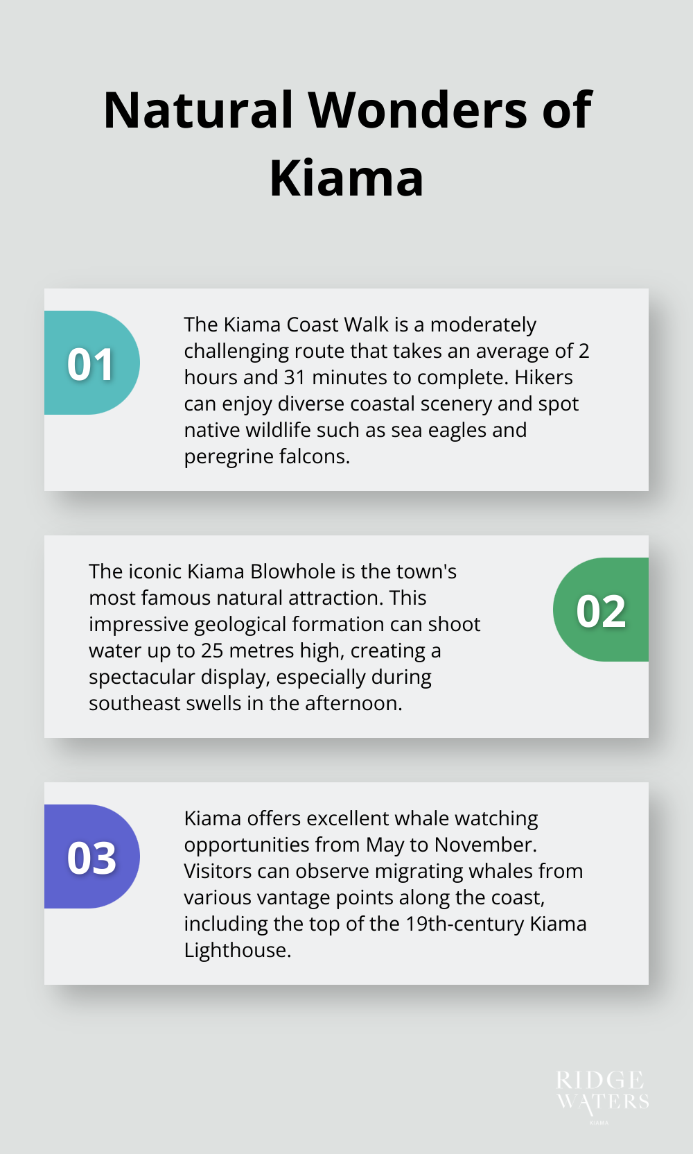 An ordered list chart showing three natural attractions in Kiama: the Kiama Coast Walk, Kiama Blowhole, and whale watching opportunities - Kiama apartments