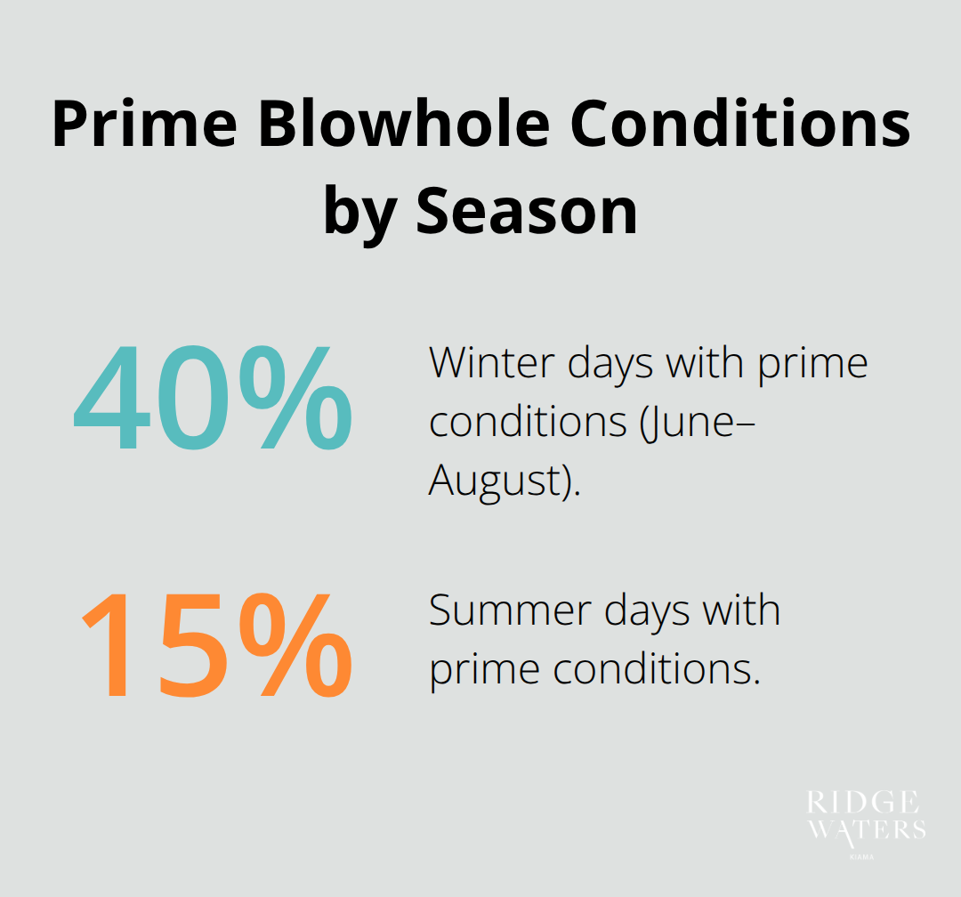 Comparison of winter and summer prime blowhole viewing conditions in Kiama, Australia.