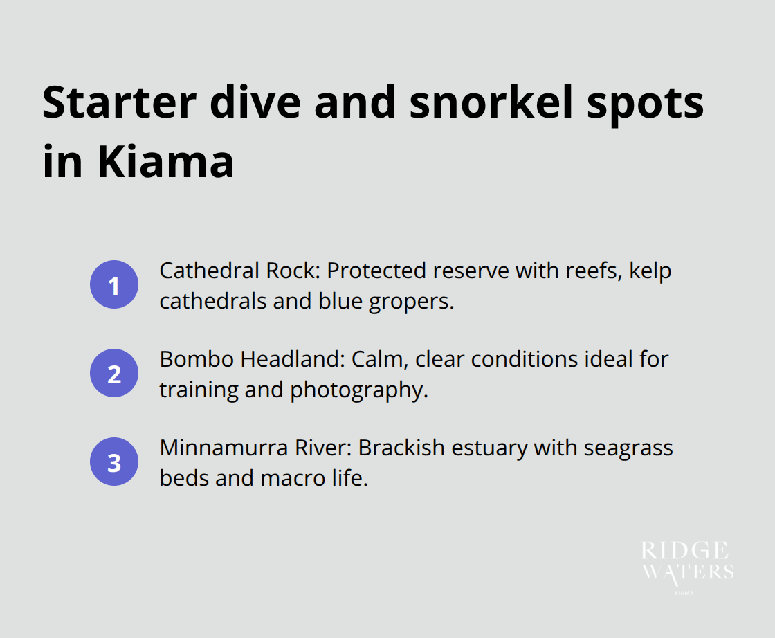 Three must-start aquatic sites in Kiama with their key strengths