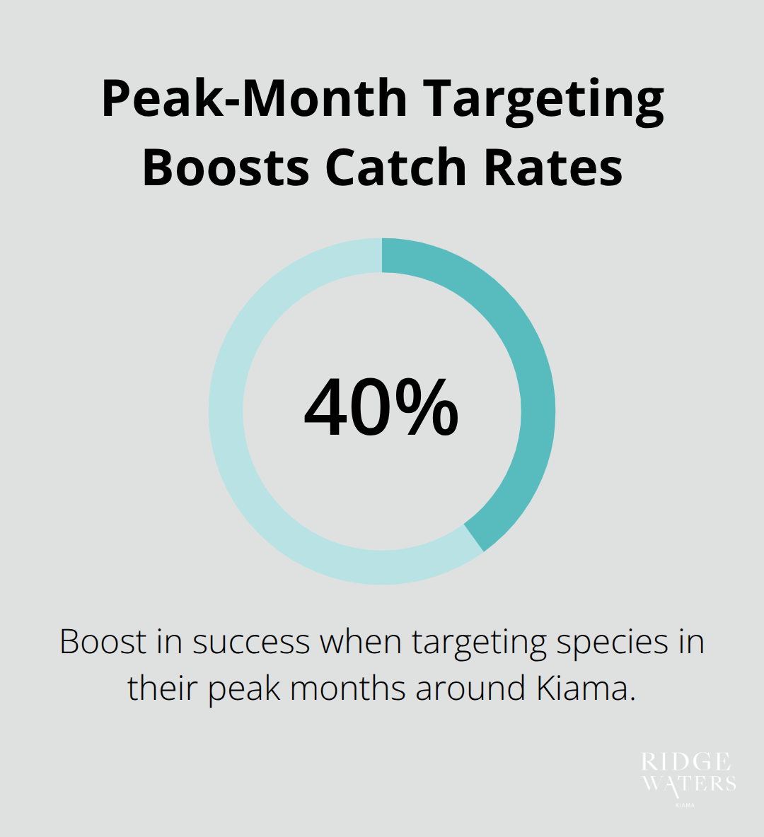 Visual showing the 40 per cent catch-rate boost when targeting species in peak months around Kiama, NSW. - Kiama fishing