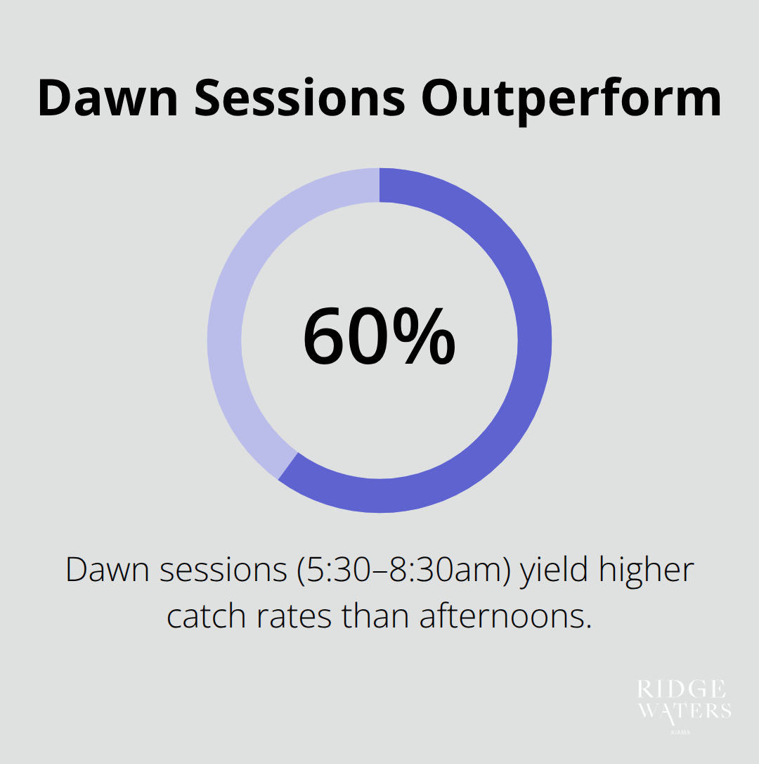 Chart showing dawn sessions beating afternoons for Kiama fishing