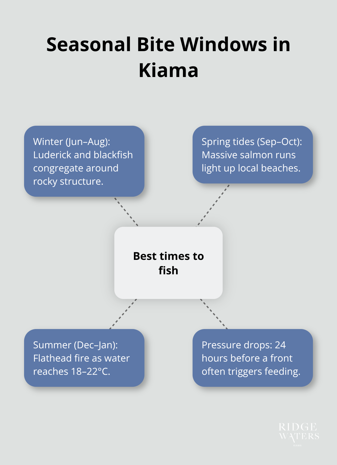 Diagram of when key species fire in Kiama across the seasons - Kiama fishing spots