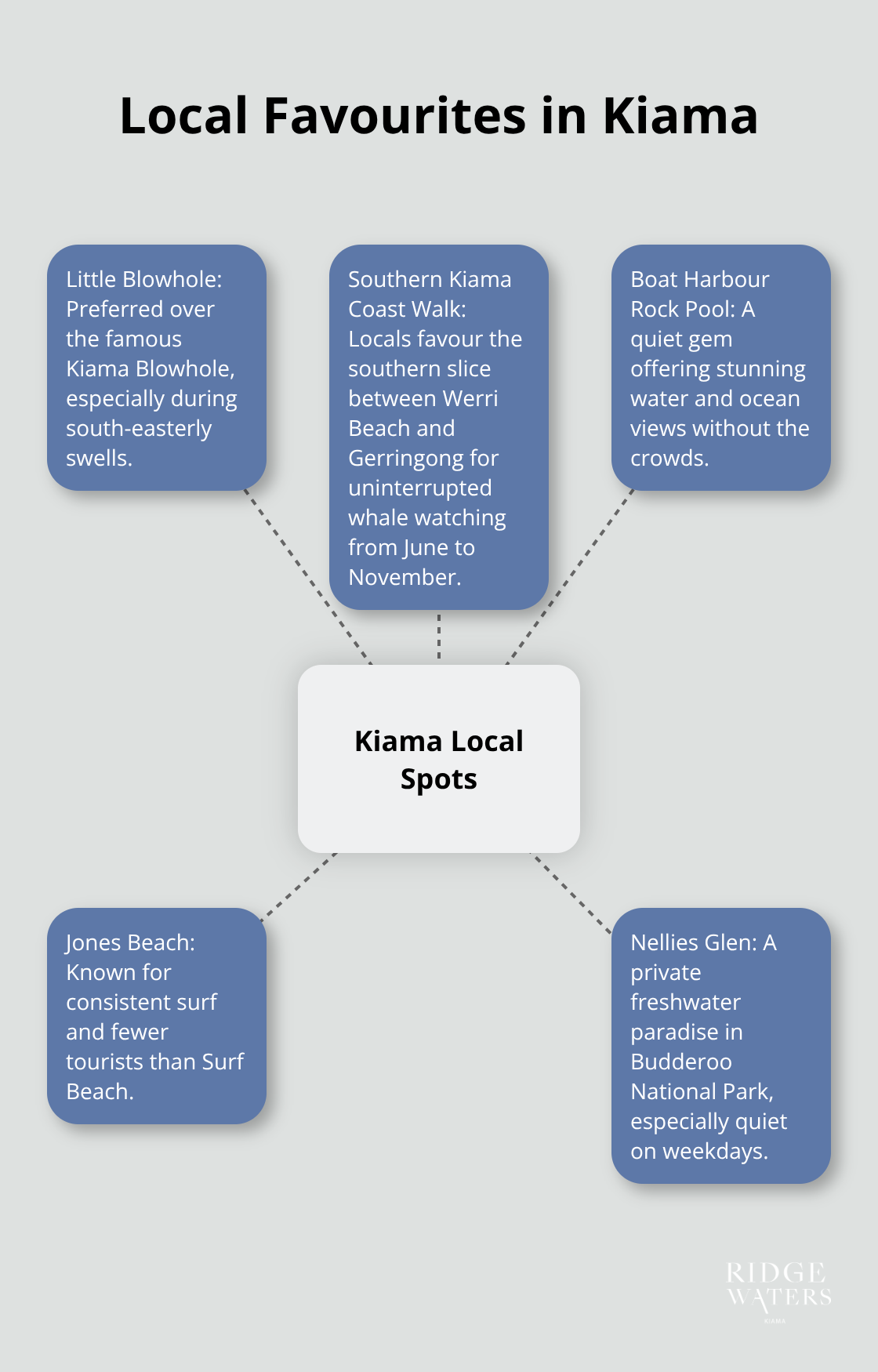 A hub and spoke chart showing local preferences in Kiama, including Little Blowhole, southern Kiama Coast Walk, Boat Harbour Rock Pool, Jones Beach, and Nellies Glen. - Kiama lifestyle