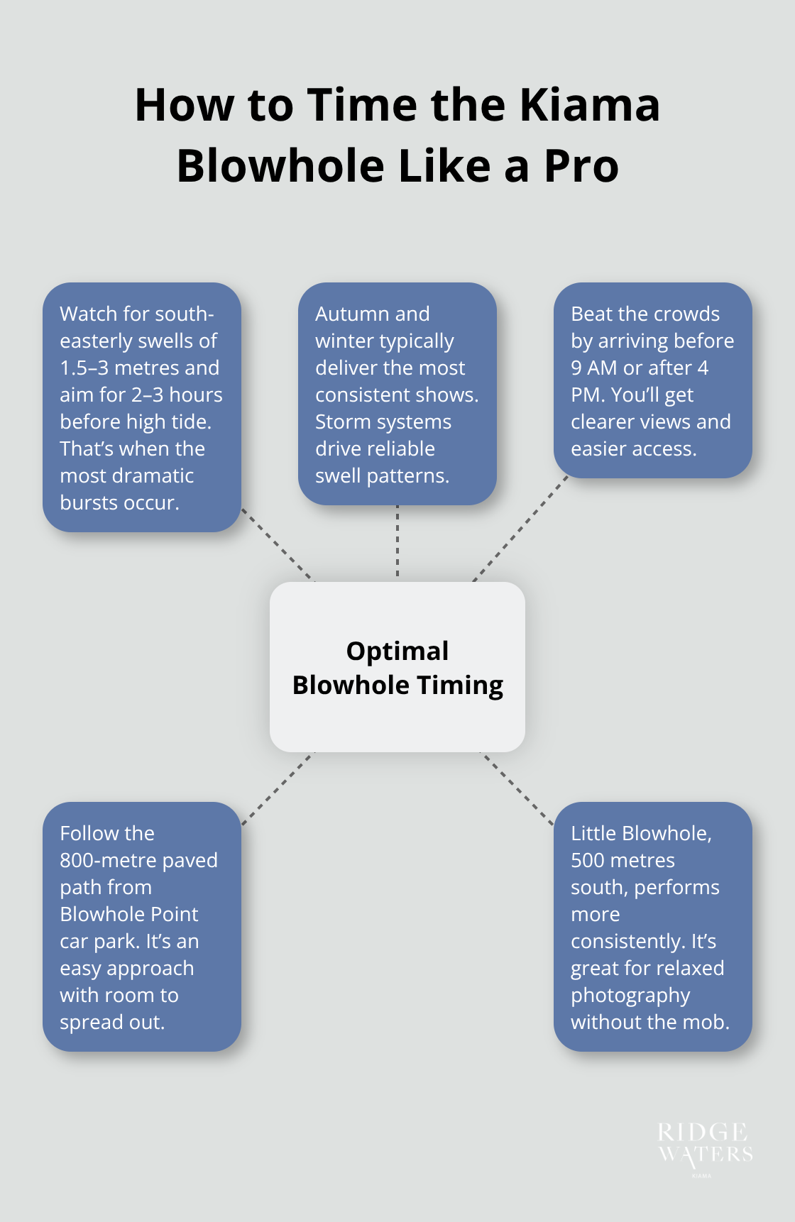 Key conditions and timing tips for the best Kiama Blowhole viewing