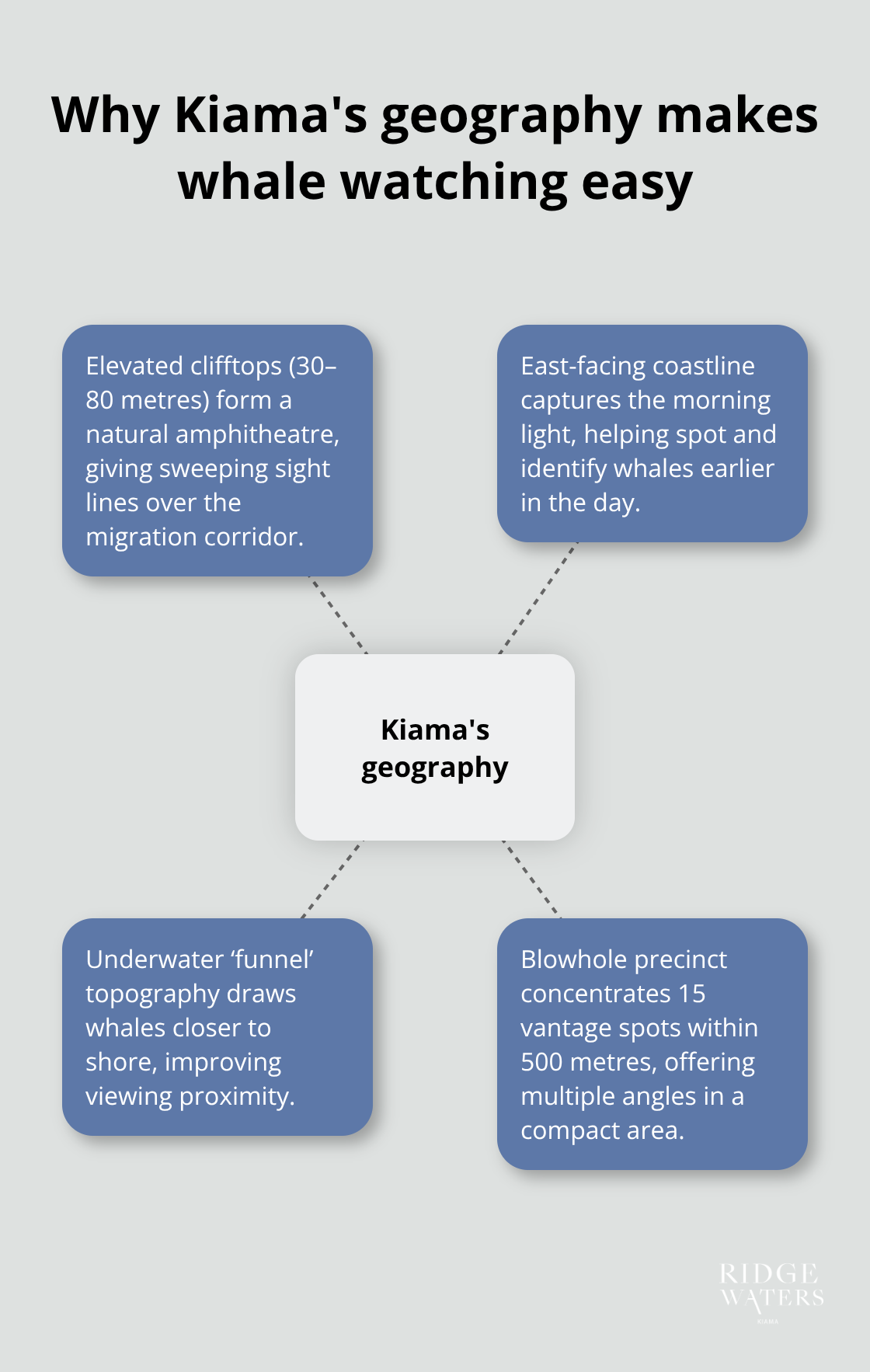 Diagram showing Kiama's natural advantages for close whale sightings in Australia
