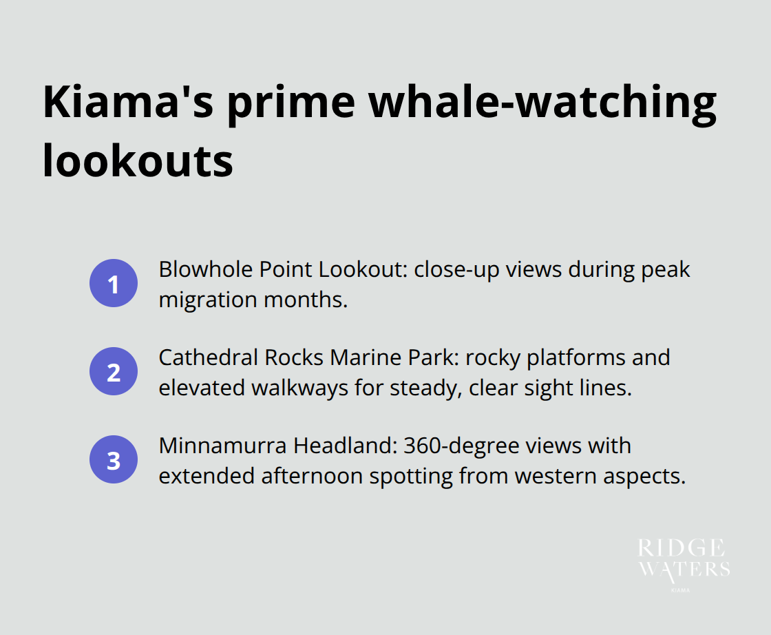 Compact list of the top whale-watching vantage points in Kiama, Australia - Whale watching