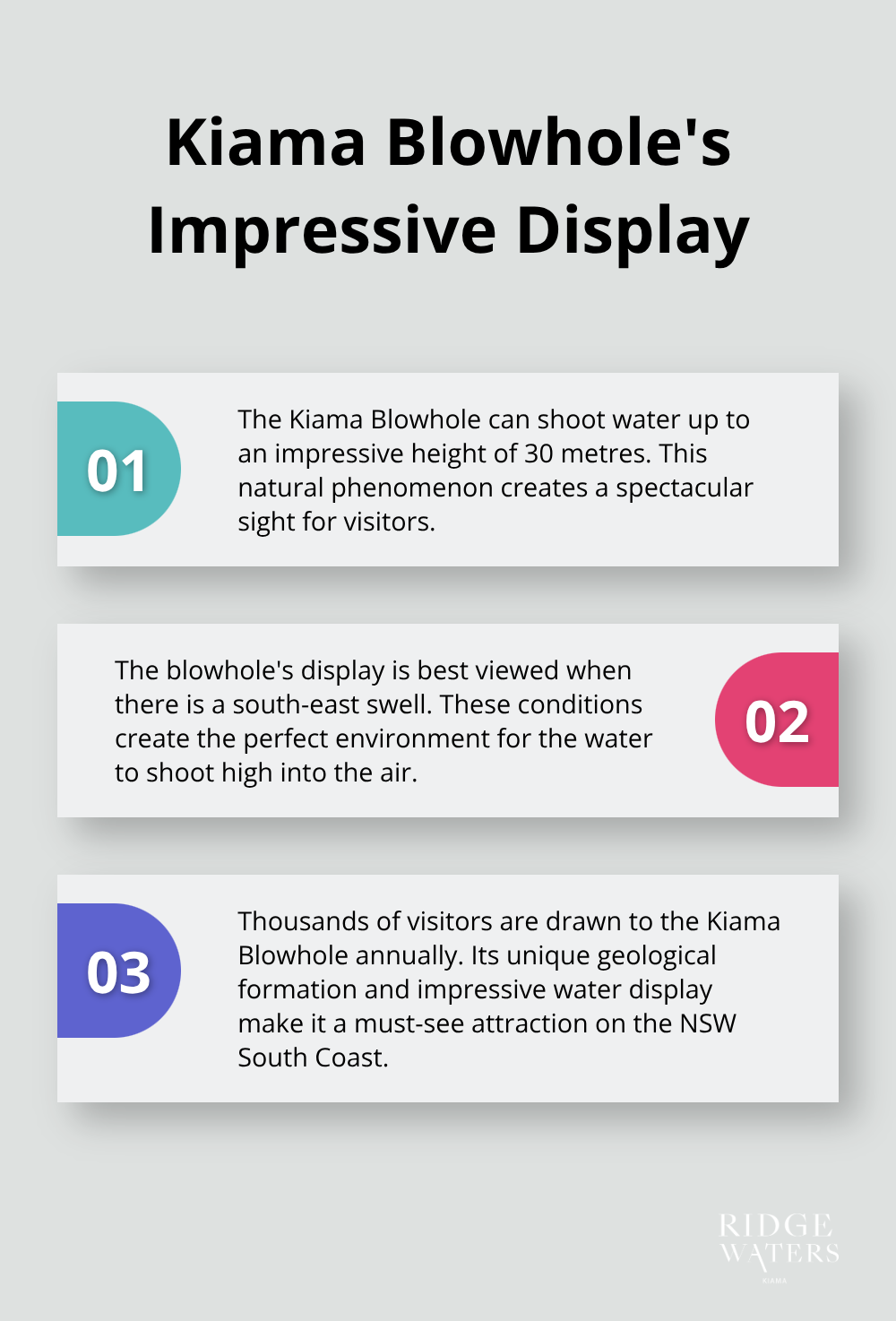 Chart showing facts about the Kiama Blowhole, including its height and best viewing conditions