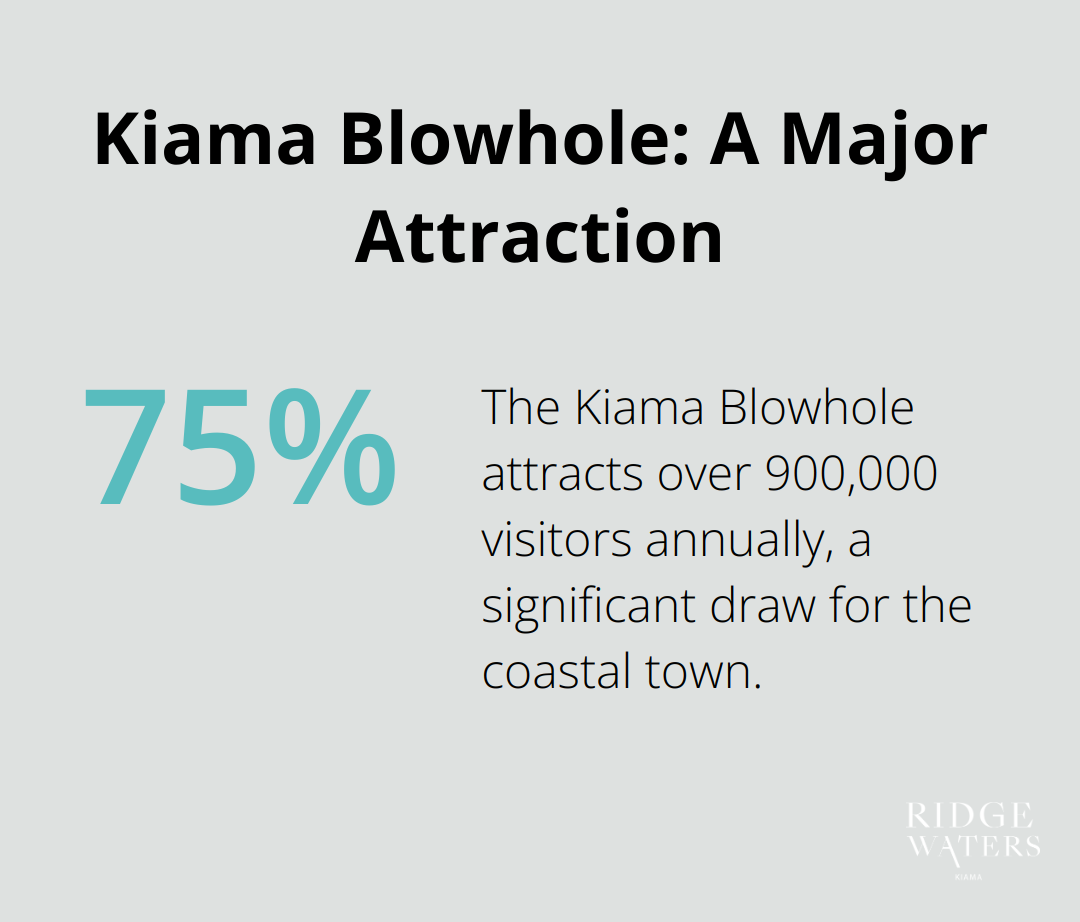 Percentage chart showing the annual visitor numbers to Kiama Blowhole - oceanview kiama luxury coastal accommodation